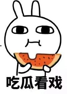 娱乐吃瓜718社会瓜,718社会瓜背后的真相与内幕