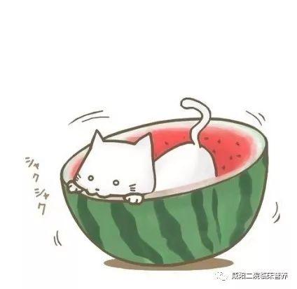 娱乐吃瓜头像图片图文