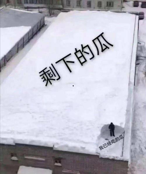 一起来吃瓜正版,揭秘娱乐圈那些不为人知的幕后故事